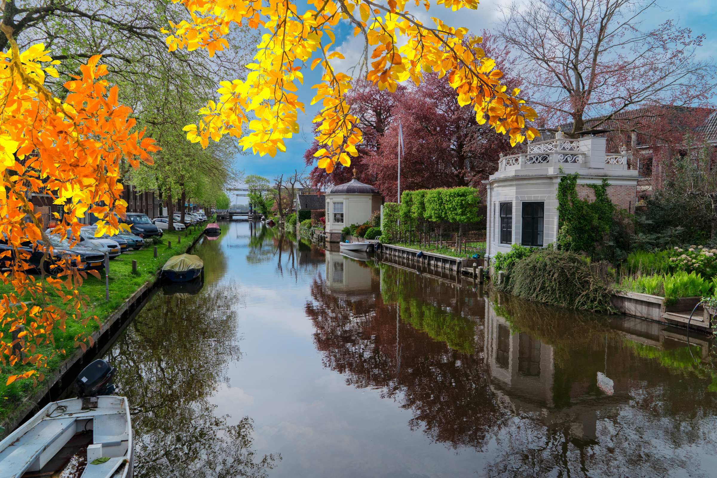 Edam 04.webp